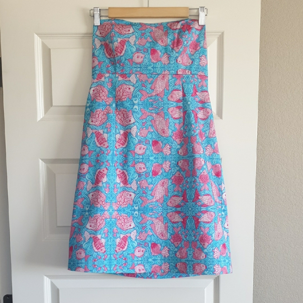 Kaeli Smith Resort Blue Pink A-Line Dress